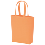 �R�b�g���o�b�O�iM�j�p�X�e��