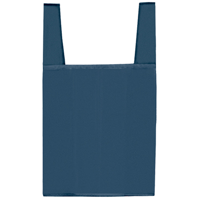 �i�C�������������o�b�O�iL�j